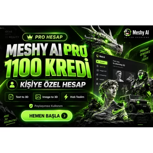  Meshy AI Pro  1100 Kredi  Kişiye Özel
